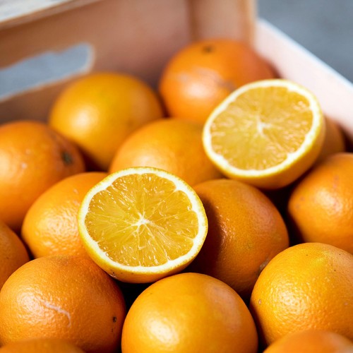 Natoora Spanish Organic Unwaxed Oranges