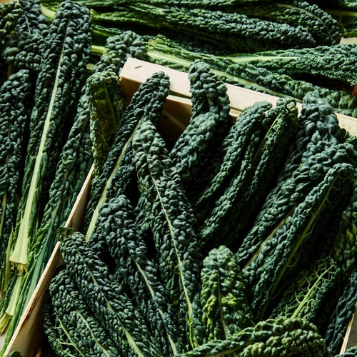 Natoora Organic British Cavolo Nero
