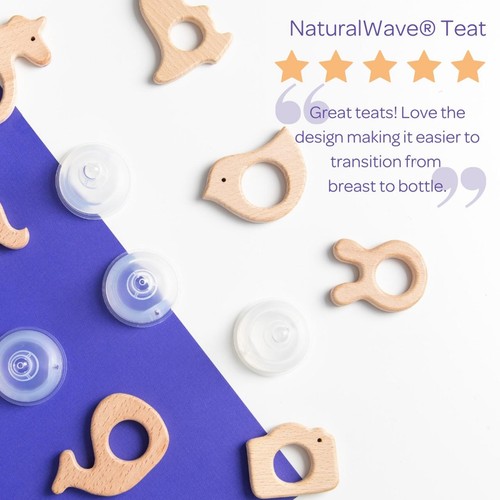 Lansinoh Silicone Bottle Teats Slow Flow