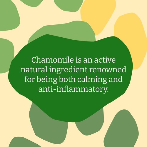 Faith In Nature Dog Care Shampoo Chamomile