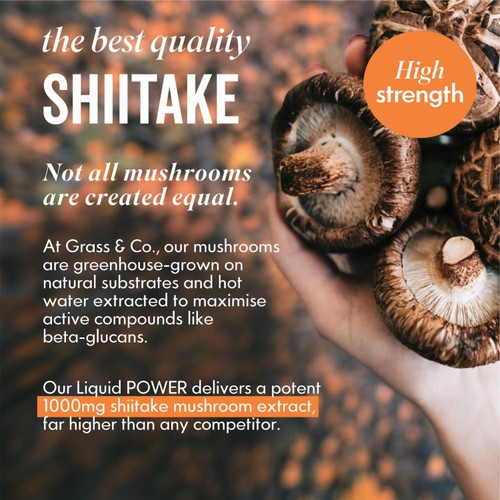 Grass & Co. Liquid POWER Shiitake Nootropic Drink