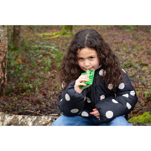 GoGo squeeZ Fruit Smoothie Snack Apple