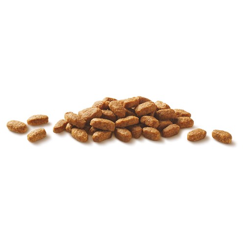Purina One Chicken Dry Cat Food 