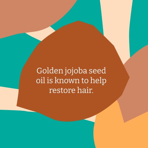 Faith in Nature Jojoba Shampoo