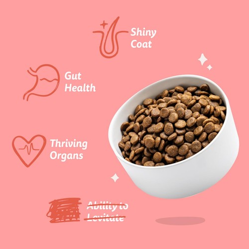 Edgard & Cooper Senior Grain Free Dry Dog Food Free-Run Chicken & Salmon