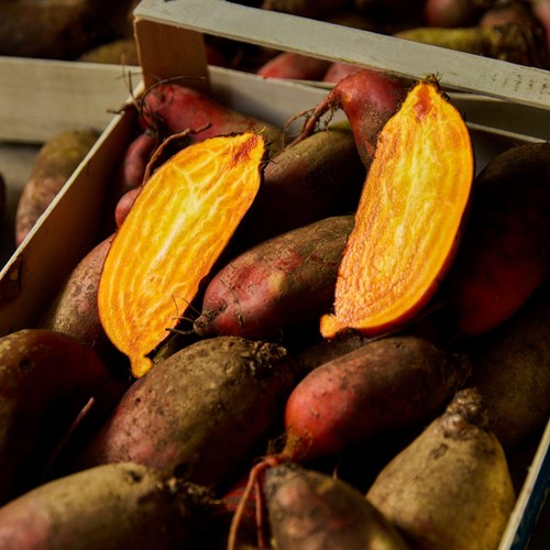 Natoora Organic British Badger Flame Beetroot