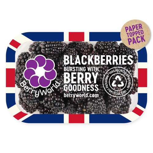 BerryWorld Blackberries