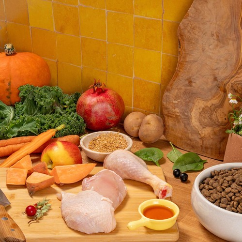 Pooch & Mutt Adult Complete Grain Free Superfood