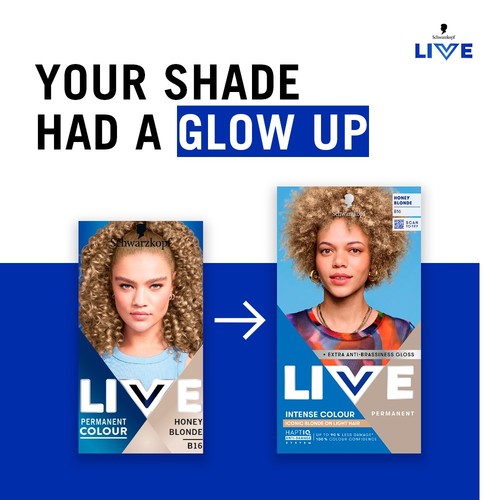 LIVE Intense Colour B16 Honey Blonde