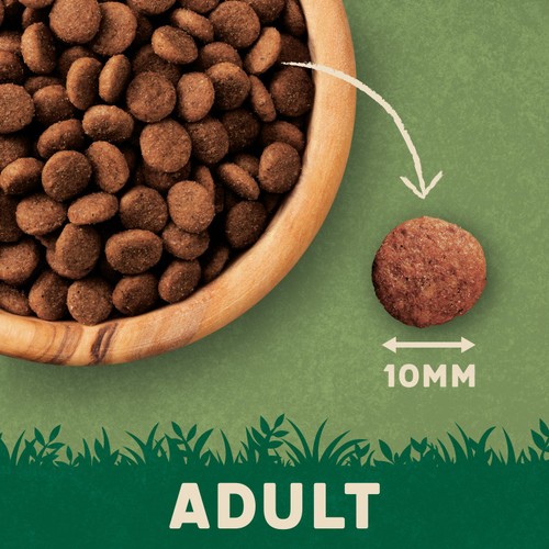 Harringtons Complete Adult Salmon Cat Food