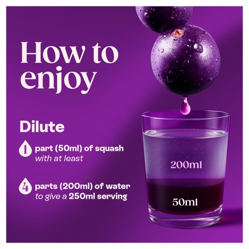 Ribena Light Blackcurrant No Added Sugar Squash