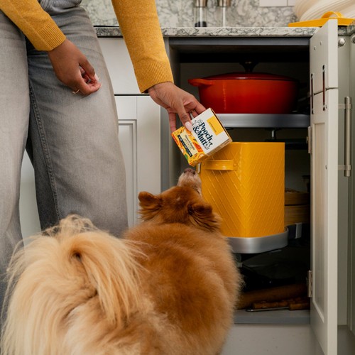 Pooch & Mutt Chicken with Pumpkin & Pea Wet Dog Food