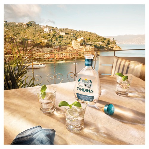 O'ndina Gin - Small Batch Super Premium Italian Gin