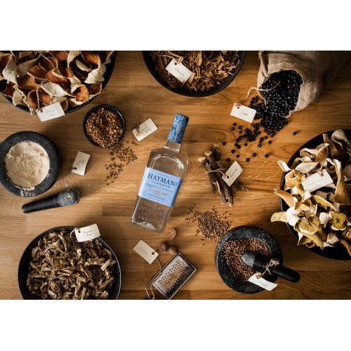 Hayman's London Dry Gin