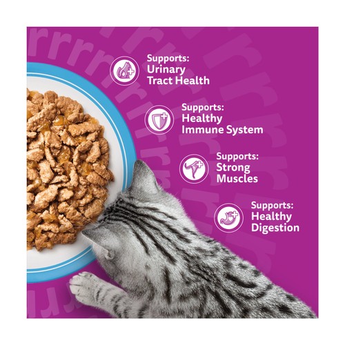 Whiskas 7+ Senior Wet Cat Food Fish Favourites in Jelly