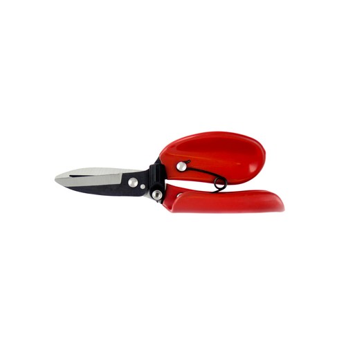 Darlac Floral Shear