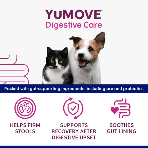 YuMOVE Digestive Support Rapid Paste for Cats & Dogs