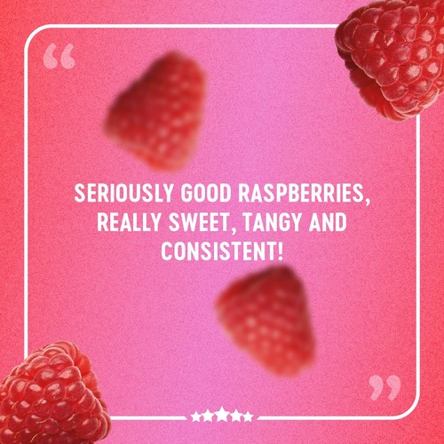 Berryworld British Ruby Raspberries