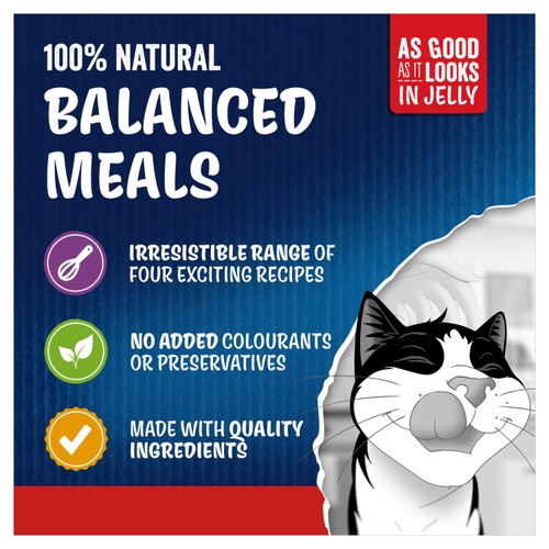 Felix As Good As it Looks Meaty Selection in Jelly Wet Cat Food