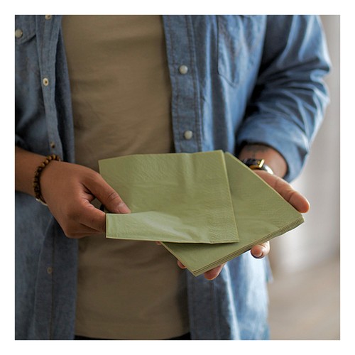 Pistachio Green 2 Ply 33cm Paper Party Napkins