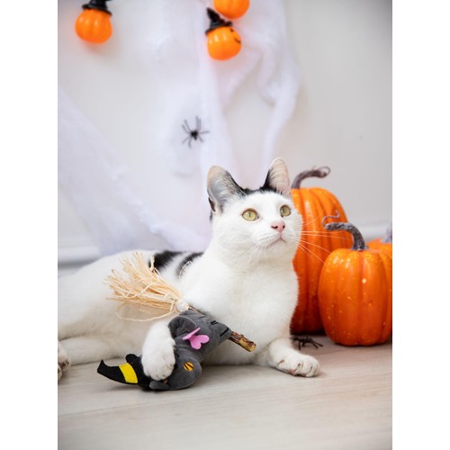 Spirit & Spook Witchy Kitty Cat Toy