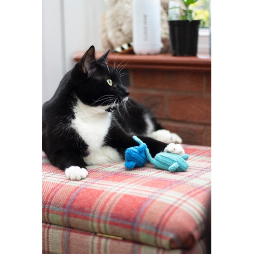 Battersea Tune Chaser Mice 