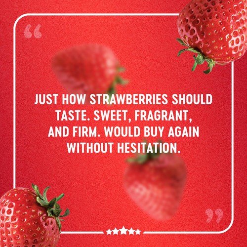 BerryWorld British Strawberries 