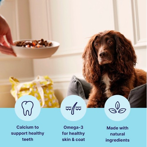 Tails.com Inner Vitality Puppy Dog Wet Food Chicken