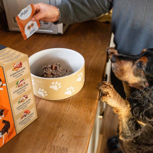 HiLife It's Only Natural Complete Wet Dog Food - The Marketplace One