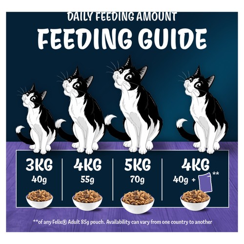 Felix Doubly Delicious Senior 7+ Salmon & Vegetables Dry Cat Food