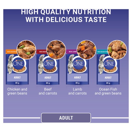 Purina One Mini Fillets Mixed Selection in Gravy Wet Cat Food 