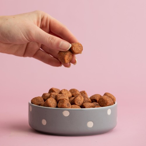 Mason Cash Polka Dot Grey 13cm Pet Bowl
