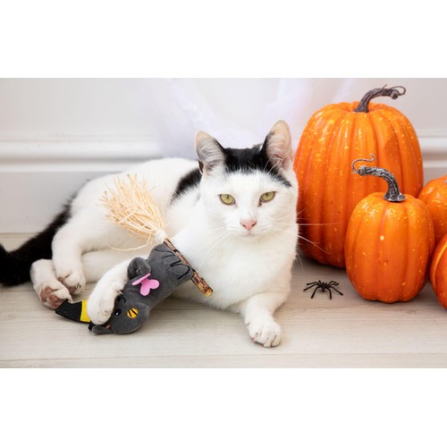 Spirit & Spook Witchy Kitty Cat Toy