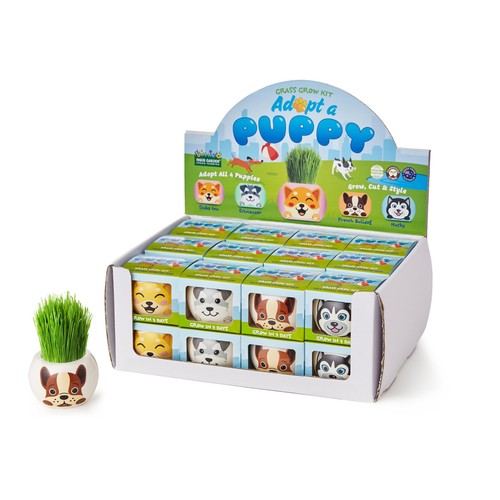 Mr Fothergills Seeds Grass Grow Kit Puppies