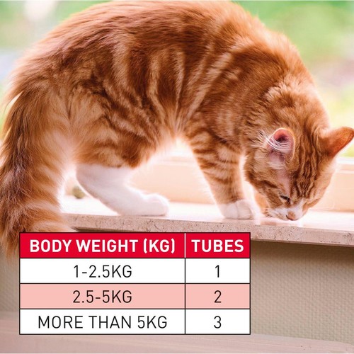 Beaphar WORMclear Worming Spot-On for Cats