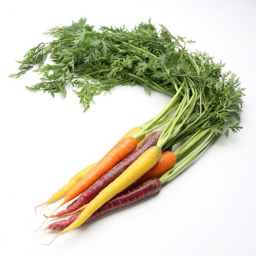 Daylesford Organic Bunched Rainbow Carrots
