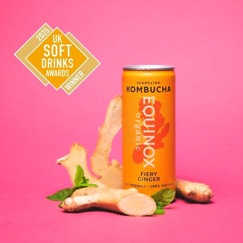 Equinox Organic Fiery Ginger Kombucha