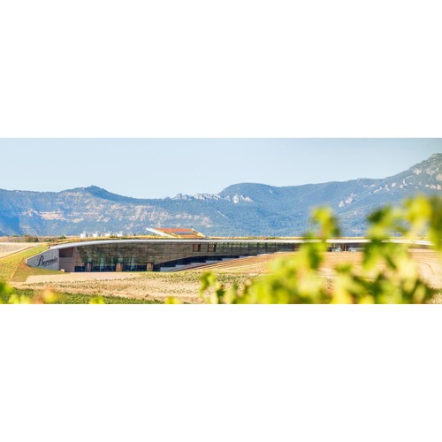Beronia Organic Rioja