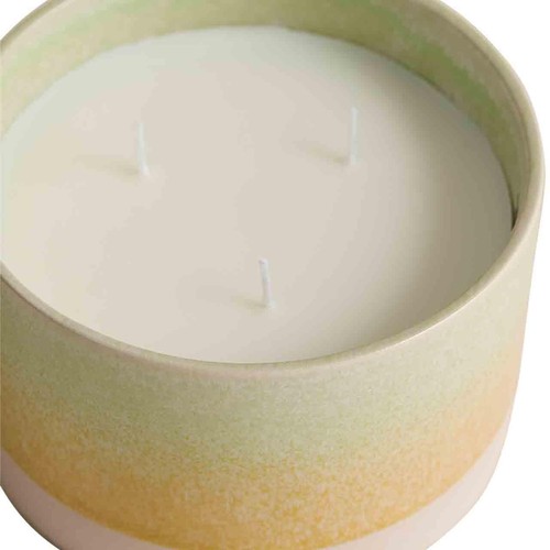 M&S Wild Meadow 3 Wick Candle
