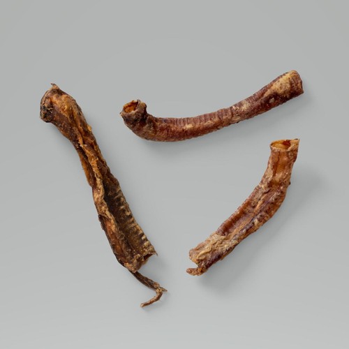 NAW Lamb Trachea