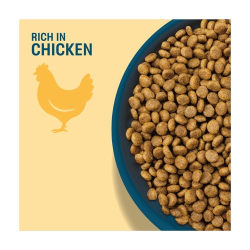 Perfect Fit Complete Dry Puppy Food Chicken