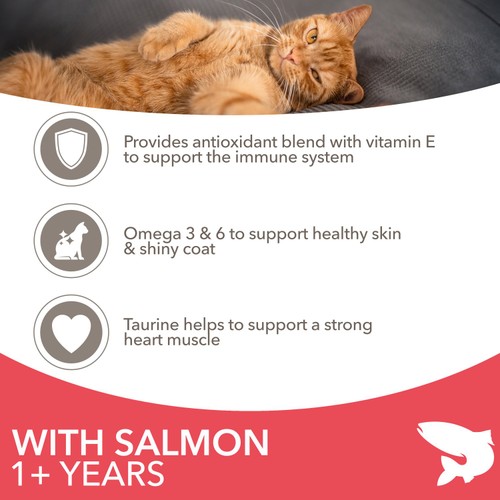 IAMS Advanced Nutrition Adult Cat Food With Salmon