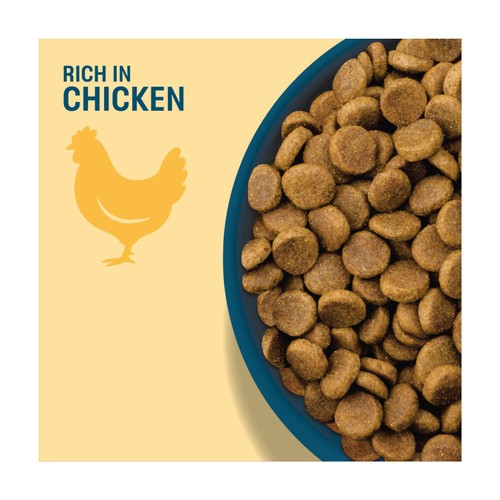 Perfect Fit Complete Dry Adult Dog Food Chicken