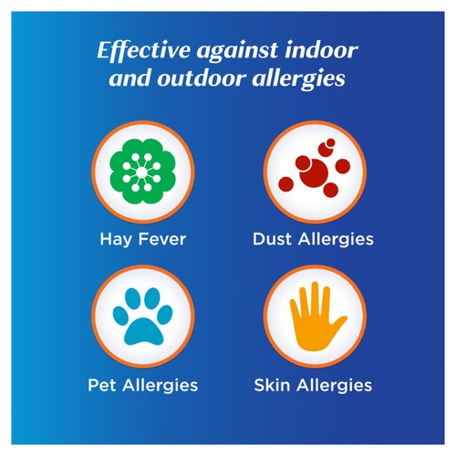 Benadryl Allergy Oral Solution for Children, 6+yrs