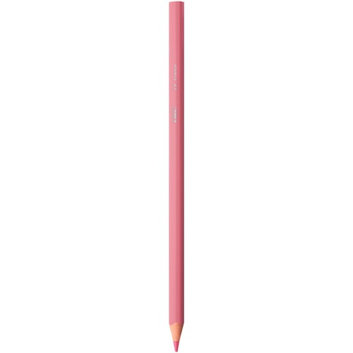 BIC Intensity Colouring Pencils, Wallet of 24