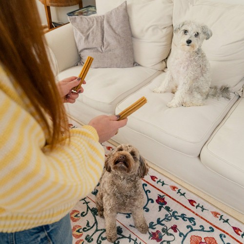 Pooch & Mutt Cheddar Cheese Dental Sticks