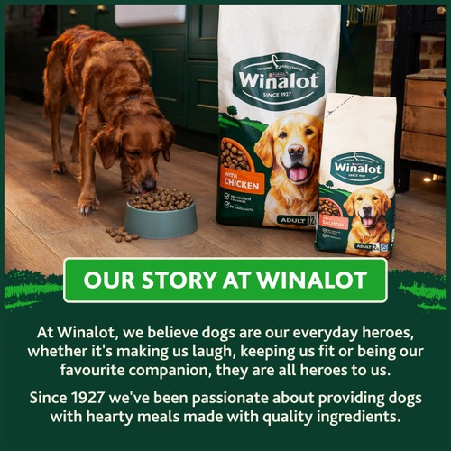 Winalot Adult Salmon Dry Dog Food