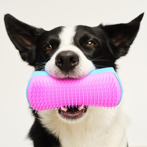 Pet Teezer De-shedding Dog Grooming Brush - Blue / Pink