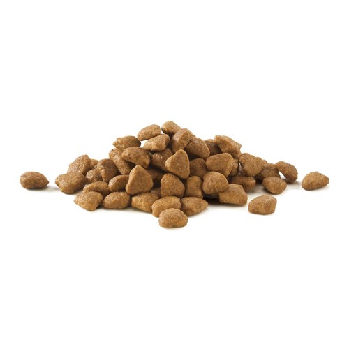 Purina One Urinary Health Chicken Dry Cat Food