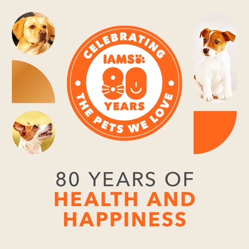 IAMS Advanced Nutrition Adult Dog Food Small/Medium Breed with Chicken